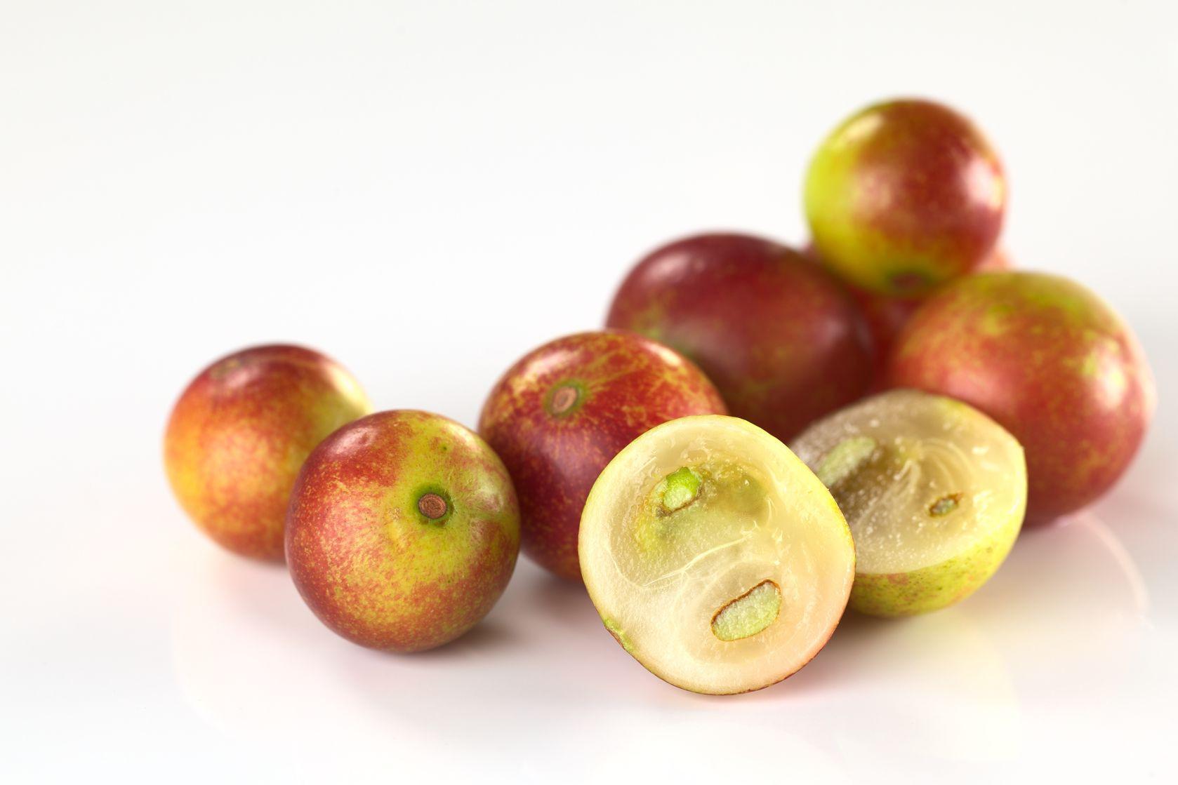 Czemu – czemu  Camu – Camu?