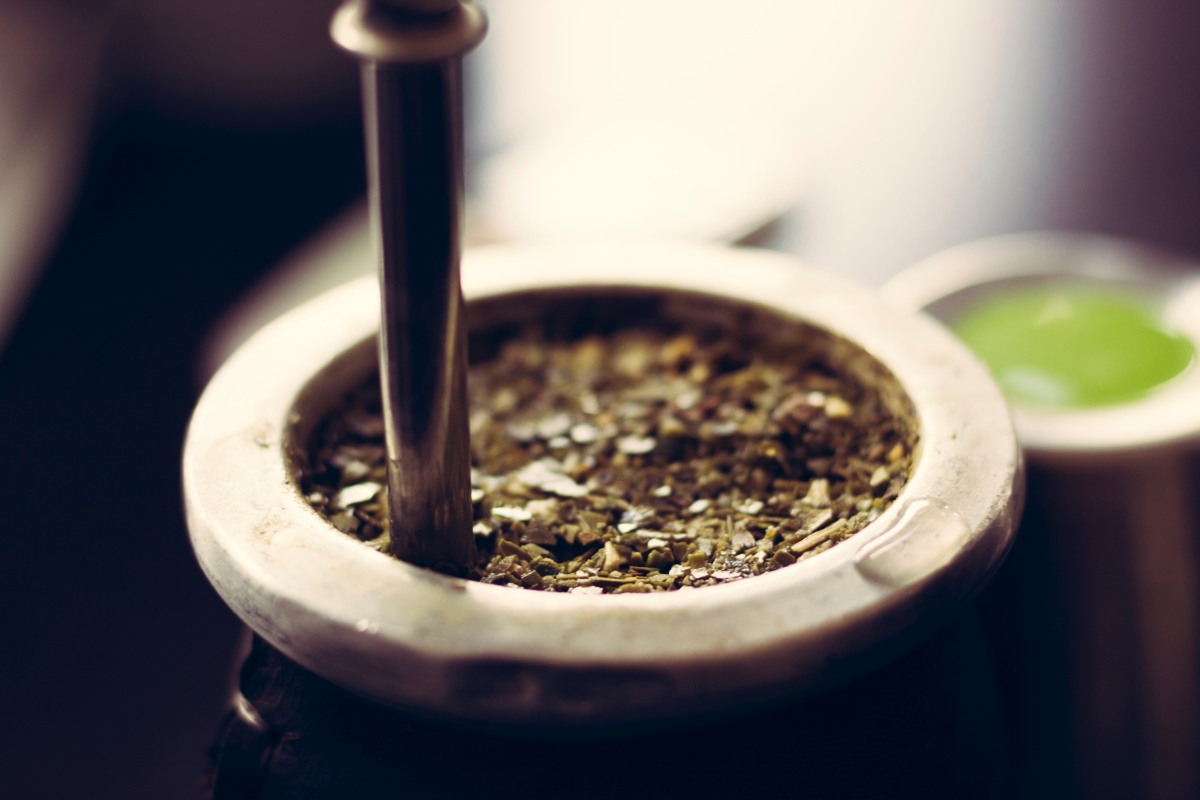 Yerba mate – właściwości zdrowotne