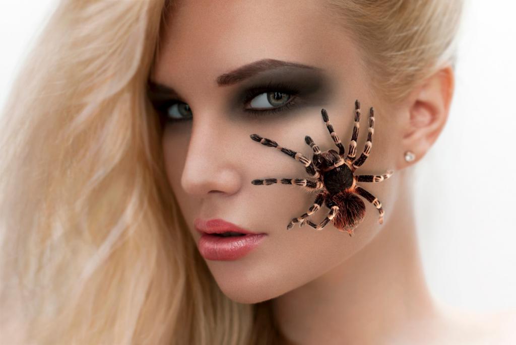 Pająk sennik - sprawdź co oznacza sennik w którym pająk jest na twarzy 