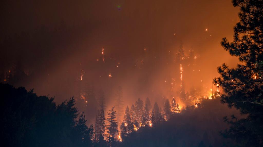 Pożar sennik - sprawdź jakie jest znaczenie snu o płonącym lesie