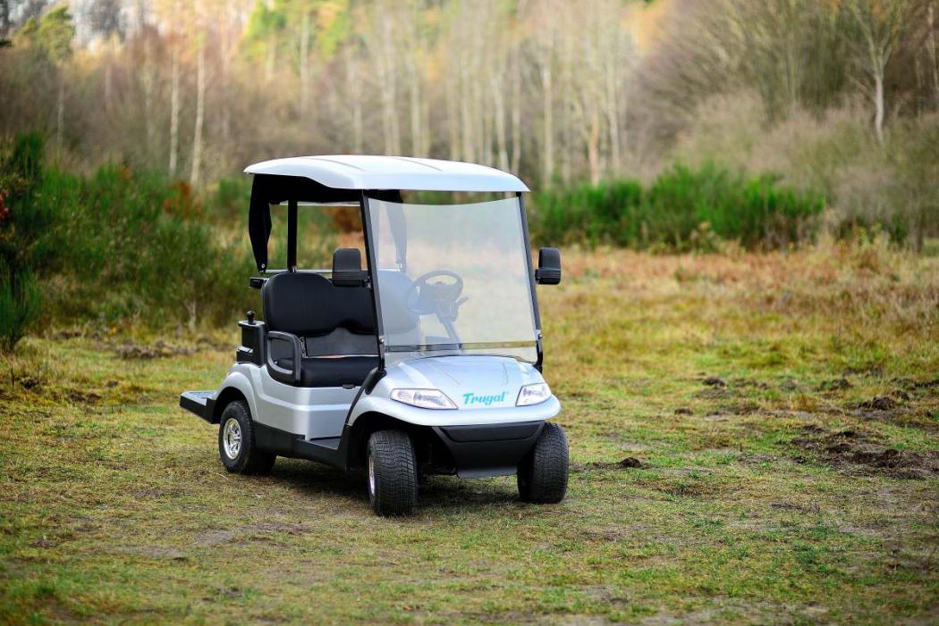 Wózki golfowe elektryczne – wygoda, komfort i ekologia
