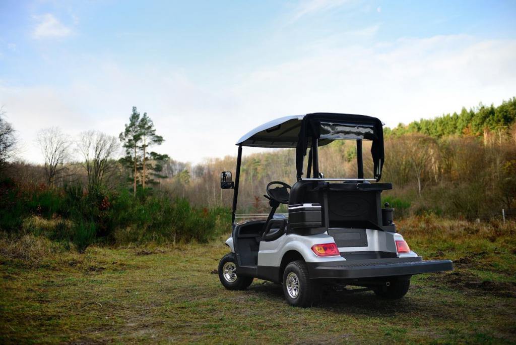 Czym się kierować, wybierając elektryczny wózek golfowy? - wyjaśniamy