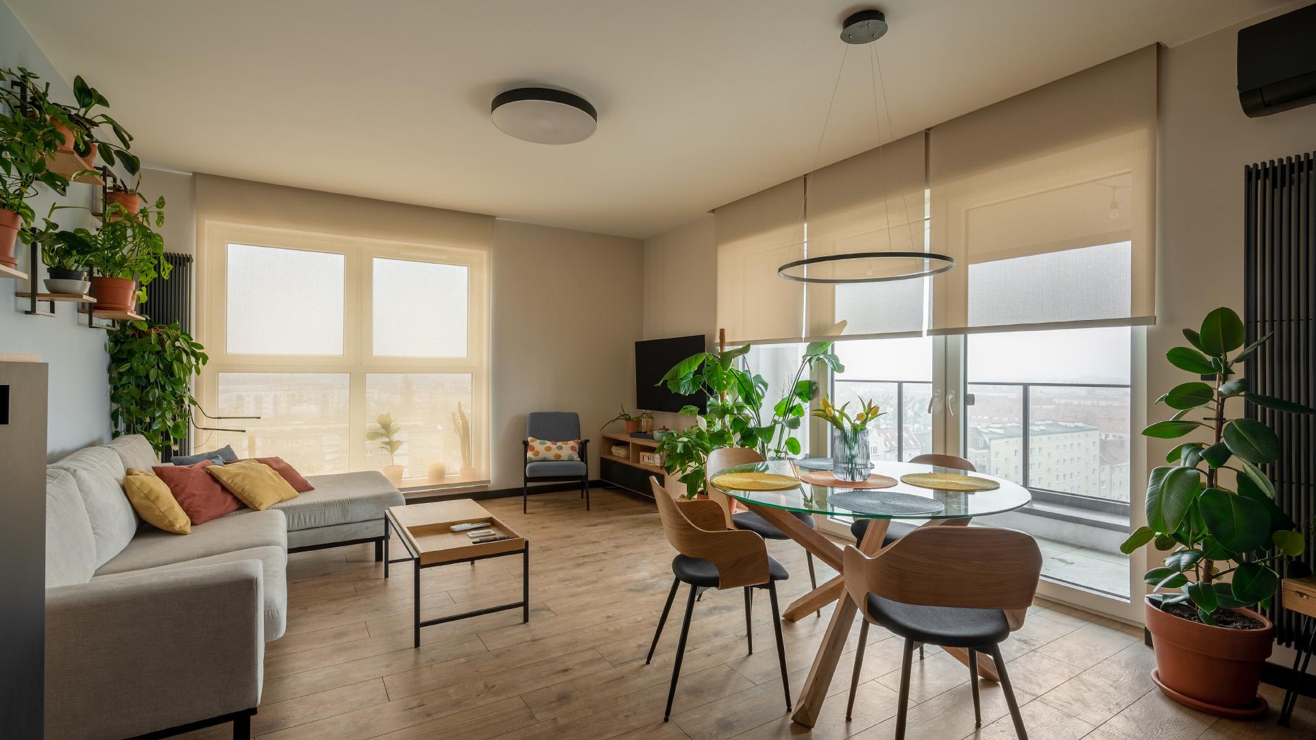 salon z wieloma oknami a na nich zamontowane rolety