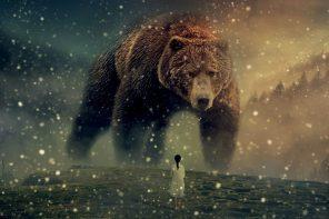 Sennik niedźwiedź. Co oznacza sen o niedźwiedziu?