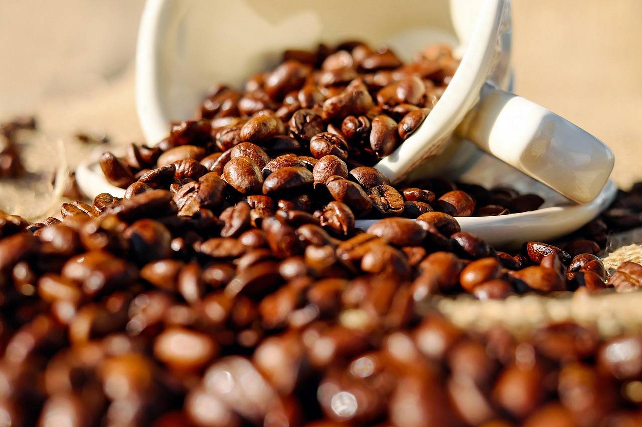 Czym różni się kawa speciality od kawy komercyjnej?