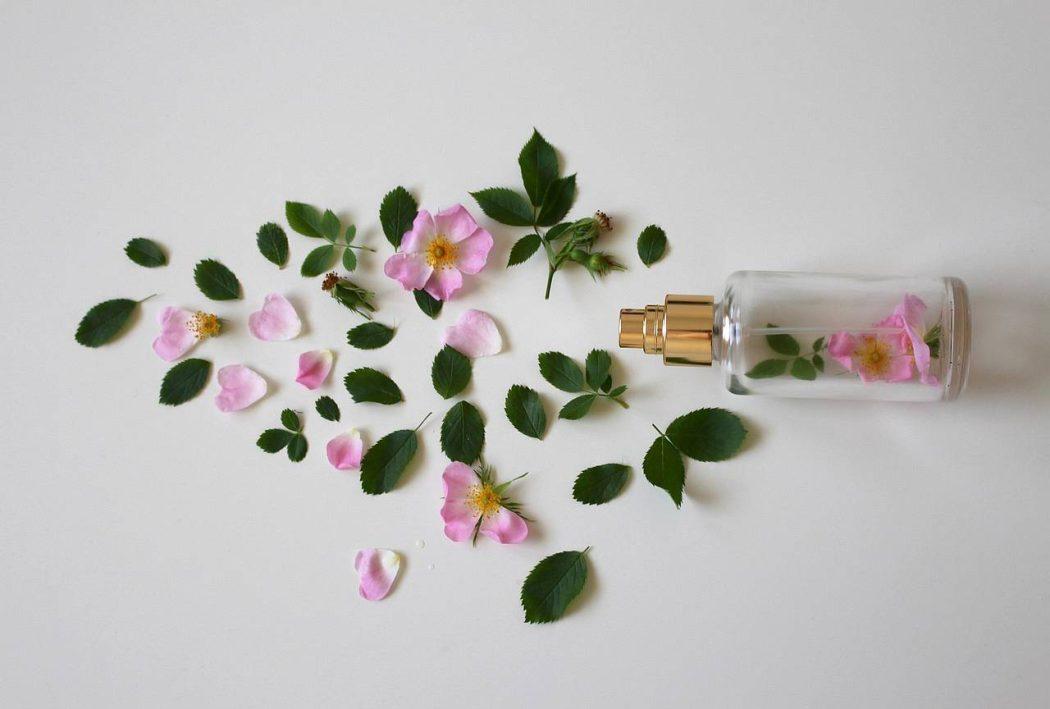scent of roses 3397281 1280 wp
