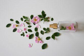 scent of roses 3397281 1280 wp