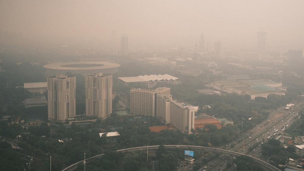 Czy zanieczyszczone powietrze wpływa na układ odpornościowy?