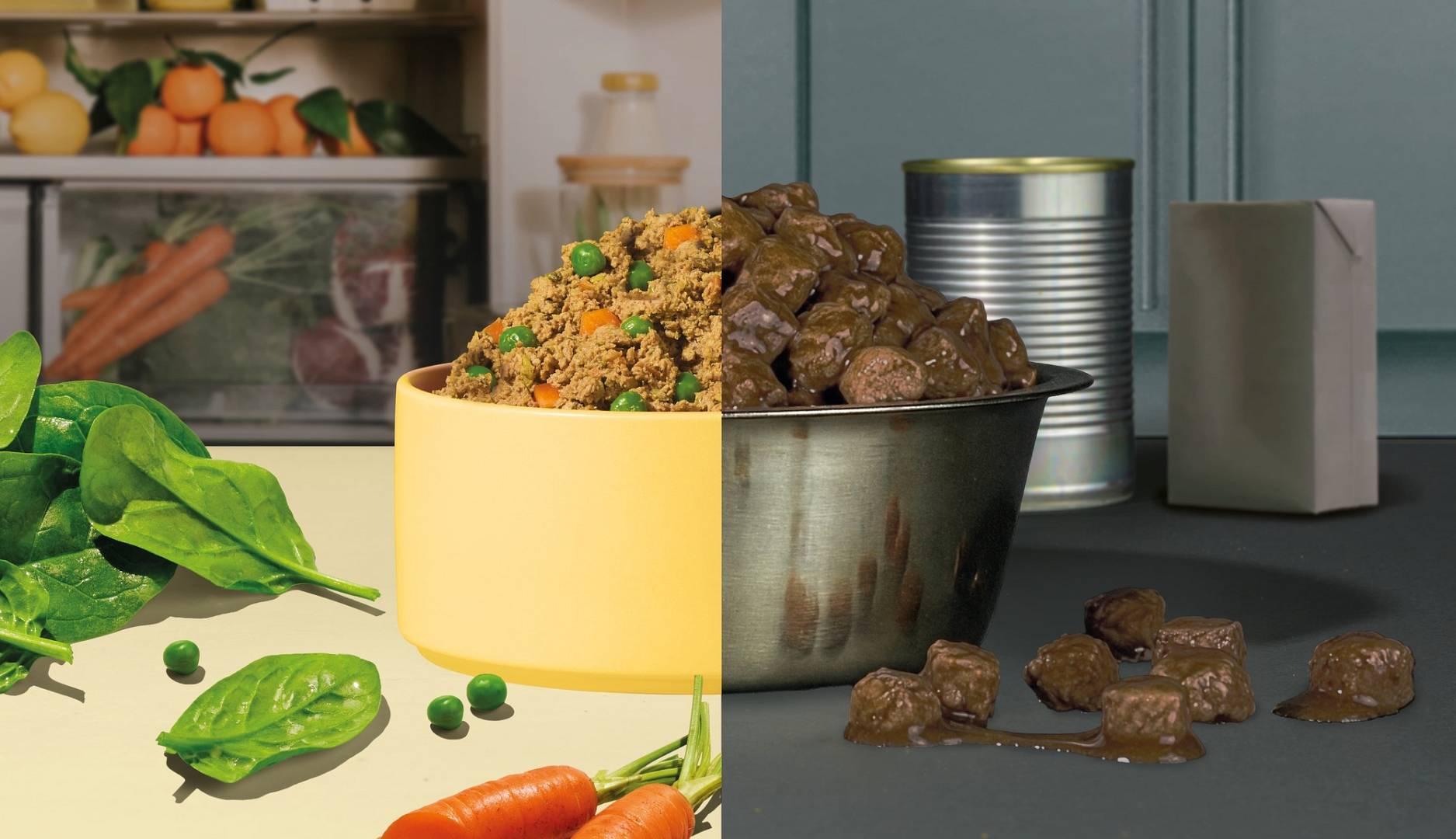 Karma jest spalona. Cała prawda o tym, co je Twój pies