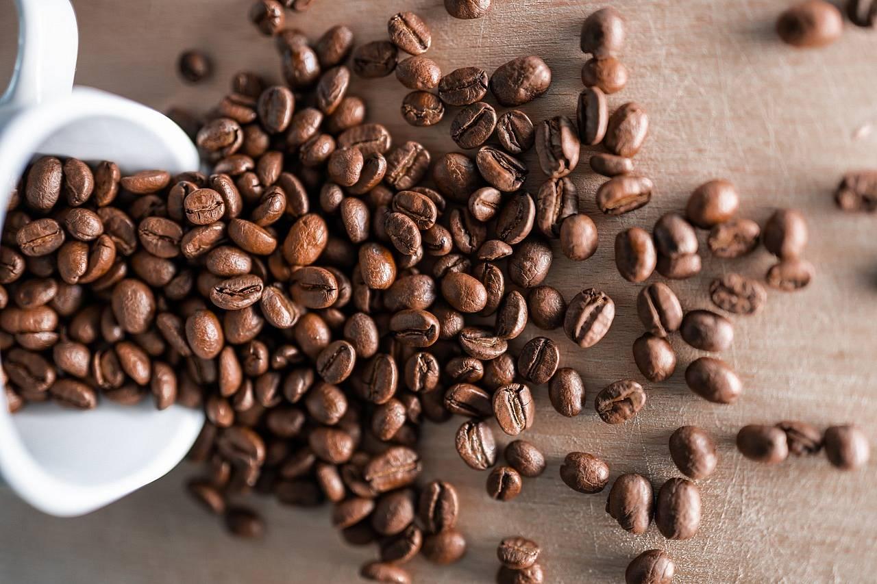 Dlaczego warto kupować ziarna bezpośrednio od producenta kawy świeżo palonej?